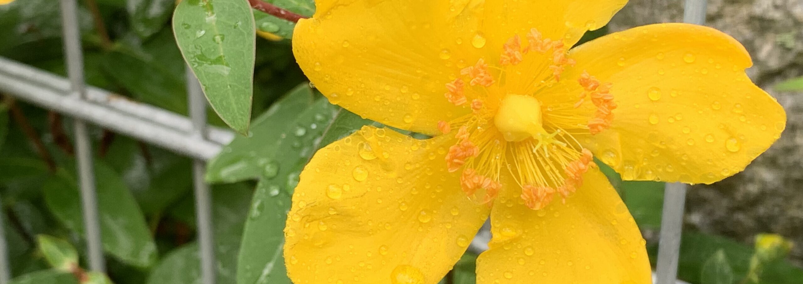 Gedicht: Was planen wir nicht alles im Leben. Und was passiert? Wenig, und wenn was geht, dann oft das Gegenteil oder zumindest was ganz anderes als geplant.