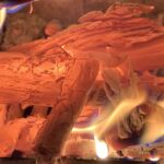 Gedicht: Glücklich, wen die Liebe überlebt. Und bleibt von ihm auch nur ein Häuflein Asche am Schluss, die Liebe ist stärker. Hoffen wir.