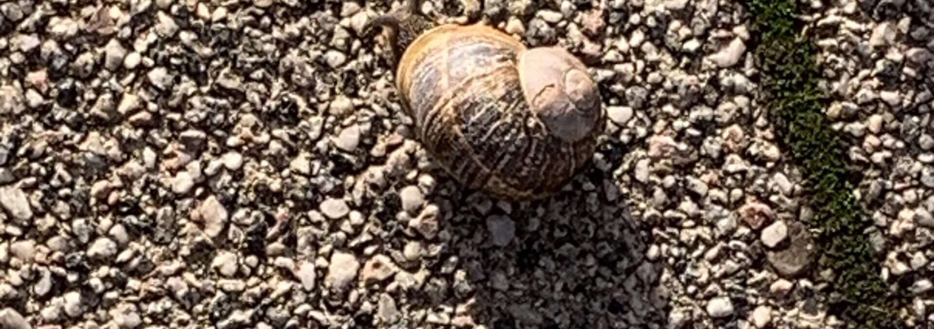 Gedicht: Schnell, so ein Auto, atemberaubend, trägt uns pfeilschnell von einem Ort zum anderen. Meistens jedenfalls. Doch viel schneller sind meine Gedanken.