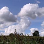 Gedicht: Träume sind nicht nur Schäume, sie gaukeln uns aber manchmal Wunschbilder vor. Könnte schön ein, wenn die Wunschbilder nicht ab und zu hängen blieben.