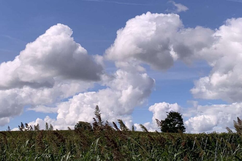 Gedicht: Träume sind nicht nur Schäume, sie gaukeln uns aber manchmal Wunschbilder vor. Könnte schön ein, wenn die Wunschbilder nicht ab und zu hängen blieben.