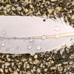 Gedicht: Die Frage ist: Wann ist der richtige Zeitpunkt, um richtig berühmt zu werden. Zu Lebzeiten? Ist anstrengend. Vielleicht doch, wenn ich tot bin?