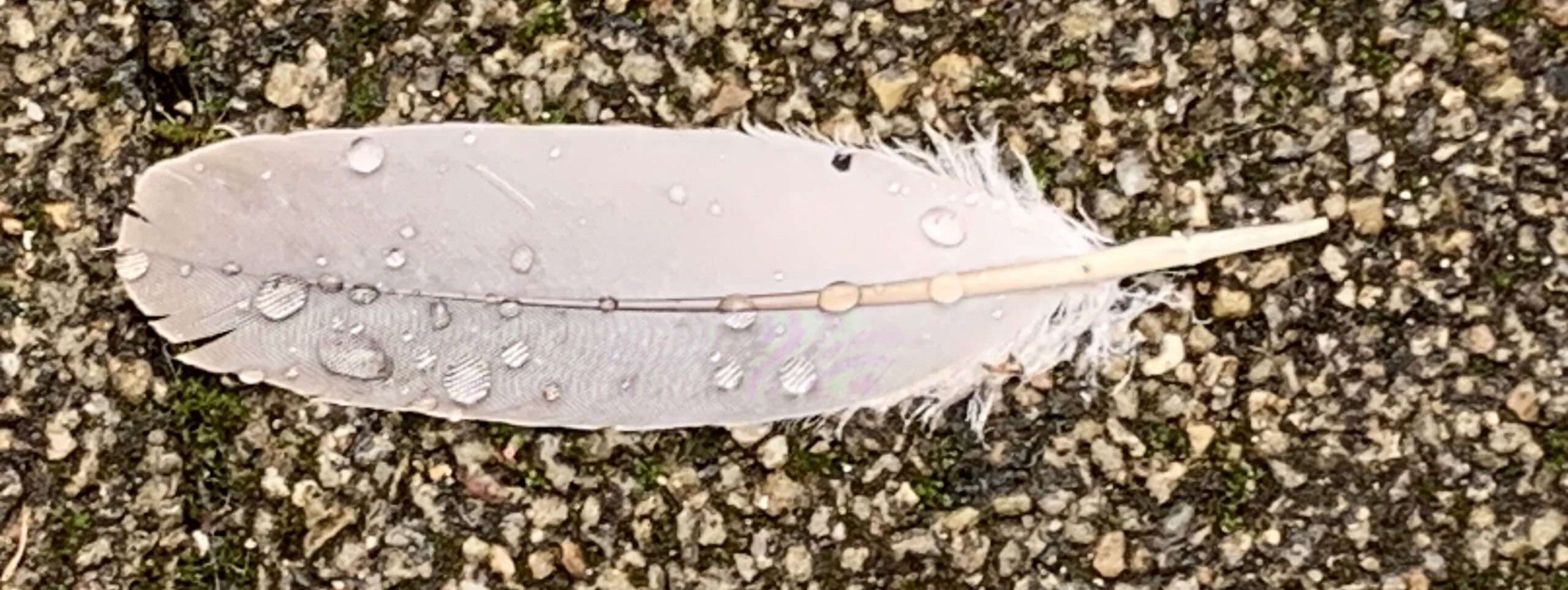 Gedicht: Die Frage ist: Wann ist der richtige Zeitpunkt, um richtig berühmt zu werden. Zu Lebzeiten? Ist anstrengend. Vielleicht doch, wenn ich tot bin?