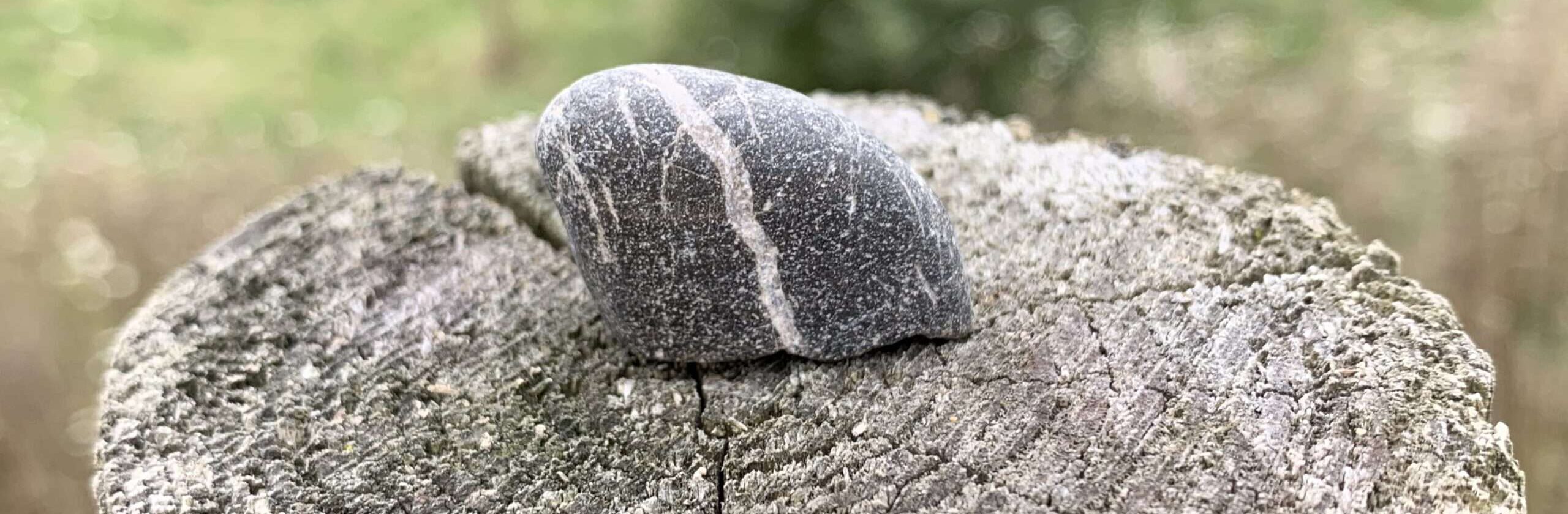 Gedicht: Wir erwarten sie nicht, dann ist sie da. Verwöhnt uns mit ihrer Gegenwart, mit Liebe. Und dann wissen wir: Sie darf nie wieder gehen.