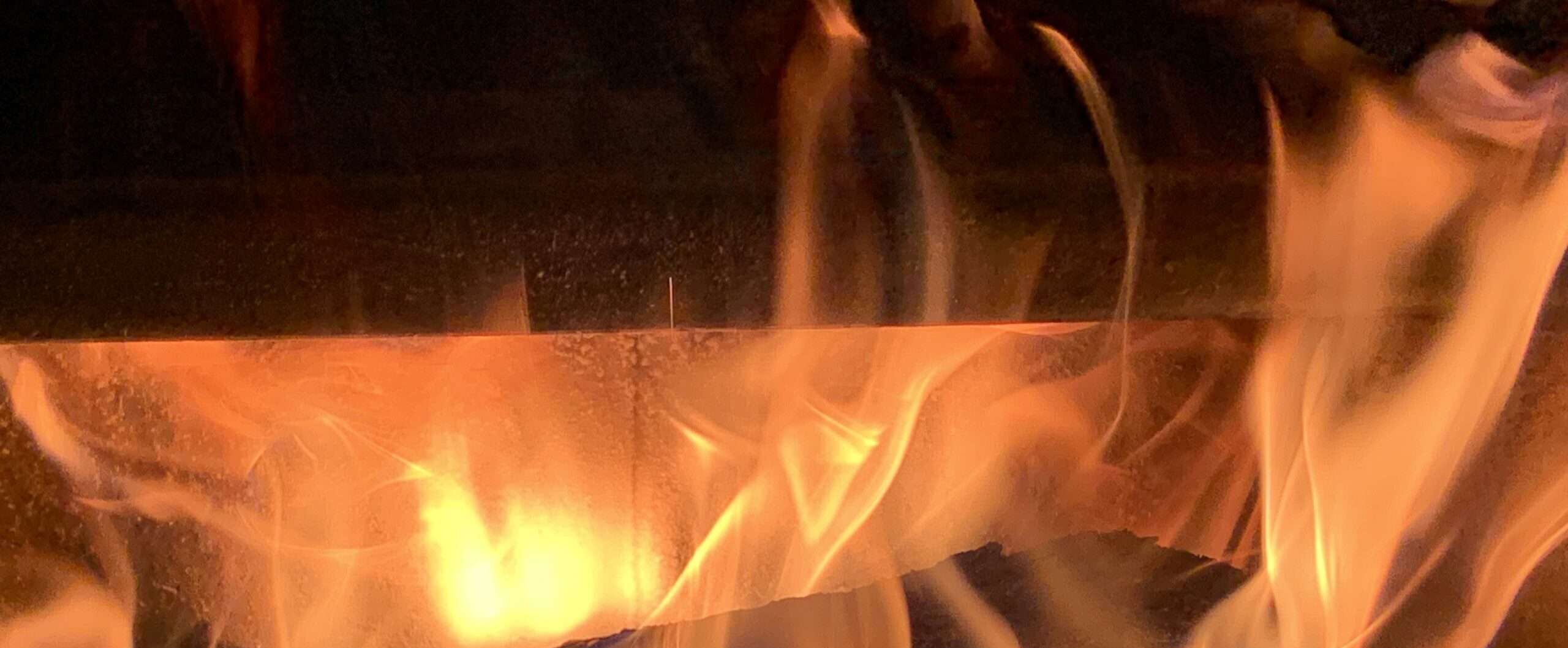 Gedicht: Lernen wir es nicht mehr? Dass sich Brandstifter unter den Schaffellen der Harmlosigkeit verstecken? Wartet nur, bis es brennt!