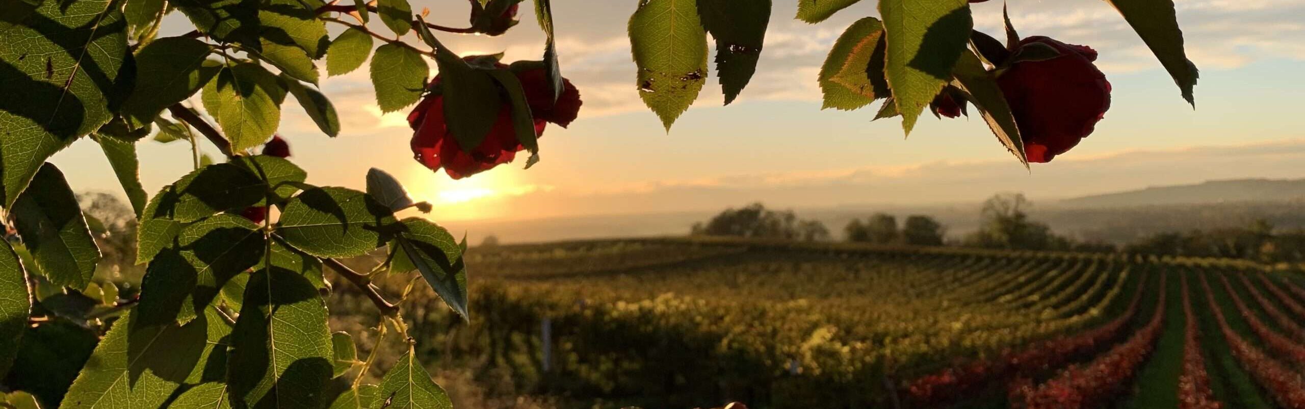 Gedicht: Gegen die Kälte des Winters hilft Liebe. Vielleicht trifft sie uns unerwartet, auf jeden Fall aber wärmt sie uns. Wie der Frühling.