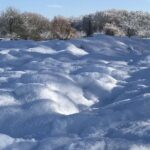 Gedicht: Wenn meine Liebe in deinem Herzen nistet, dann erfriert der Winter. Das Leben wird rund und vollständig, und wir sind eins.