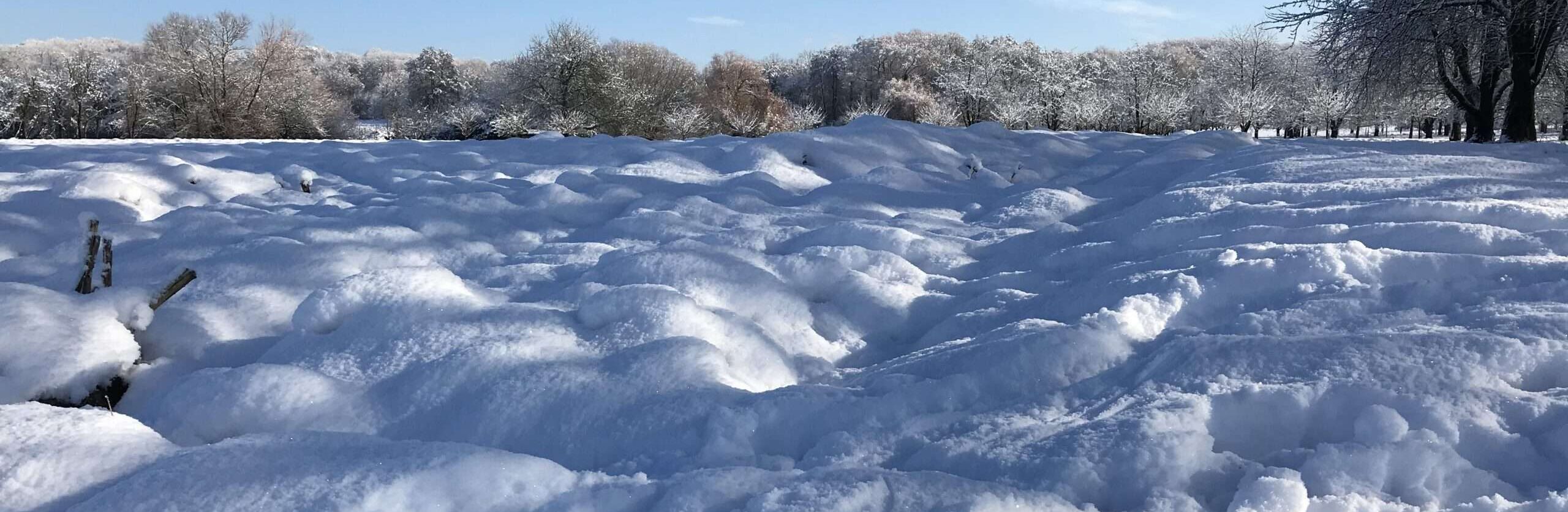 Gedicht: Wenn meine Liebe in deinem Herzen nistet, dann erfriert der Winter. Das Leben wird rund und vollständig, und wir sind eins.