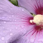 Gedicht: Was glaubst Du? An die Liebe, dass sie eines Tages zu Dir kommt? Das ist tapfer, betrachten wir, in welcher Welt wir uns befinden...