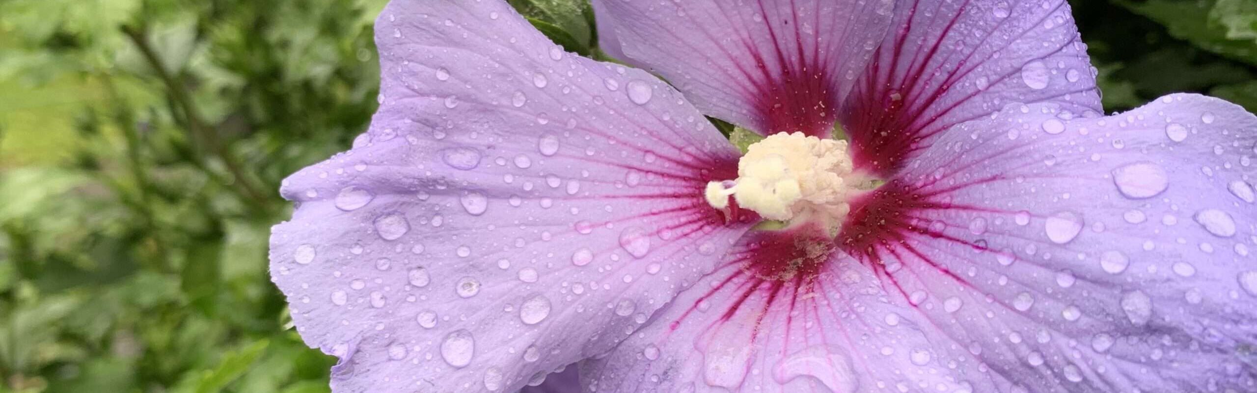 Gedicht: Was glaubst Du? An die Liebe, dass sie eines Tages zu Dir kommt? Das ist tapfer, betrachten wir, in welcher Welt wir uns befinden...