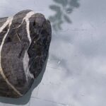 Gedicht: Wenn Du verdammt bist, zu leben, ist das keine schöne Sache. Du magst die Welt nicht, sie erscheint Dir eine Schlange zu sein. Hast Du eine Wahl?