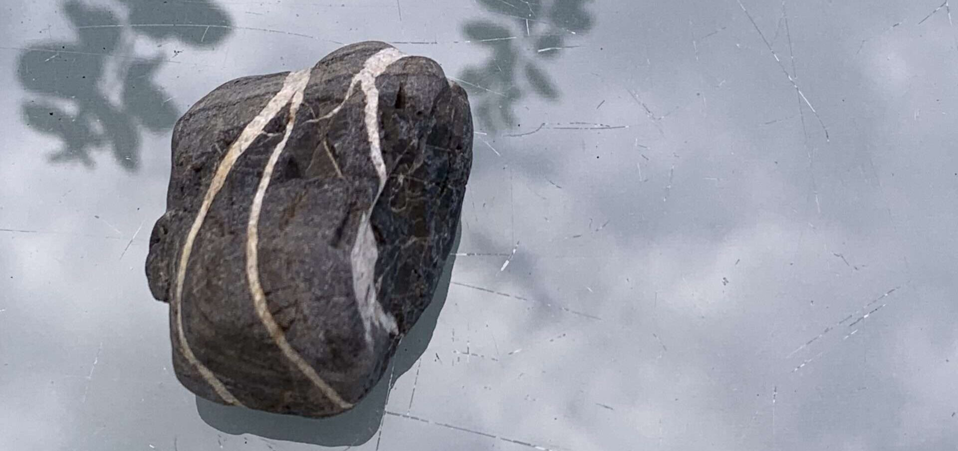 Gedicht: Wenn Du verdammt bist, zu leben, ist das keine schöne Sache. Du magst die Welt nicht, sie erscheint Dir eine Schlange zu sein. Hast Du eine Wahl?