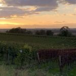 Gedicht: Das Erwachen aus süßem Schlaf ist manchmal schmerzhaft und brutal. Da helfen auch die Träume nichts, die man vorher hatte.