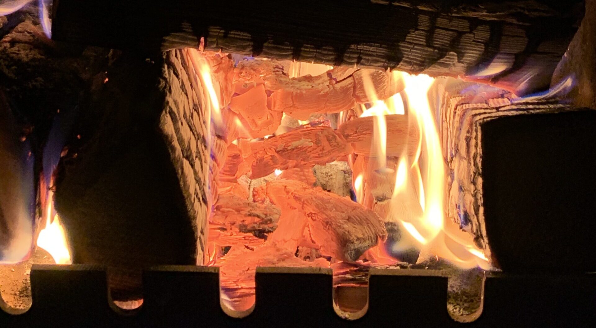 Gedicht: Wenn der Frühling ausfällt, ist das nicht sehr schön. Da ist alles andere ziemlich egal, wie Gesang ohne Ton oder eine Leiche hinter Glas.