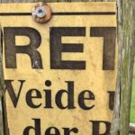 Gedicht: Du kannst Dein Leben genießen. Oder Du verschiebst es immer und immer wieder. Aber sei gewiss: Irgendwann kommt der Winter.