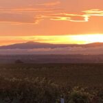 Gedicht: Die Mörder in den Palästen sind ans Ende ihrer Zeit gelangt. Vertreibt sie aus ihrer sicheren Burg, die keine ist, jagt sie zum Teufel. Die Zeit gehört euch.