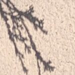 Gedicht: Hilft das Herz? Wenn wir uns öde und ausgebrannt fühlen? Ja. Wir sollten auf unser Herz hören, nachspüren, was es uns sagen will.