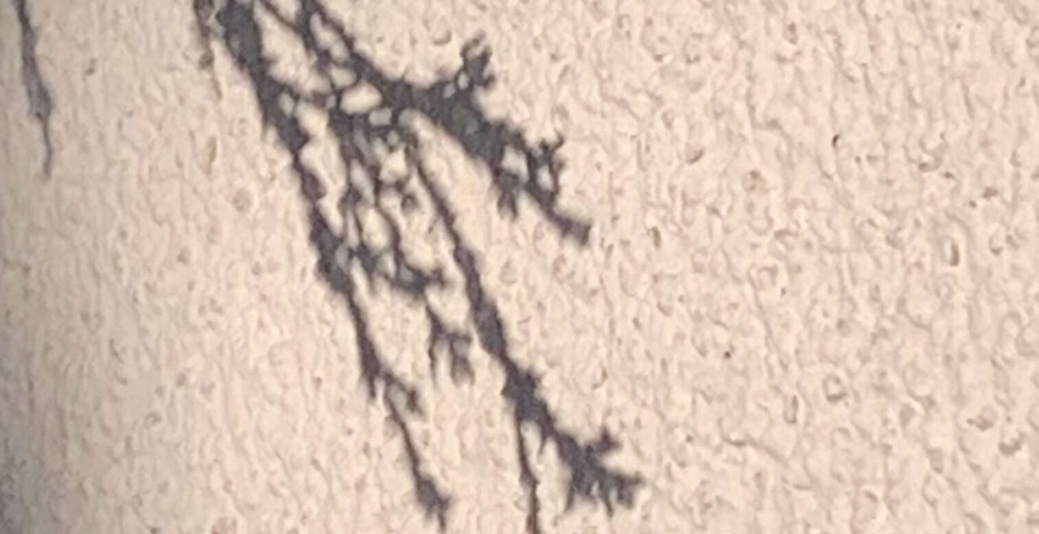 No-Haiku: Öde & Herz Gedicht: Hilft das Herz? Wenn wir uns öde und ausgebrannt fühlen? Ja. Wir sollten auf unser Herz hören, nachspüren, was es uns sagen will.