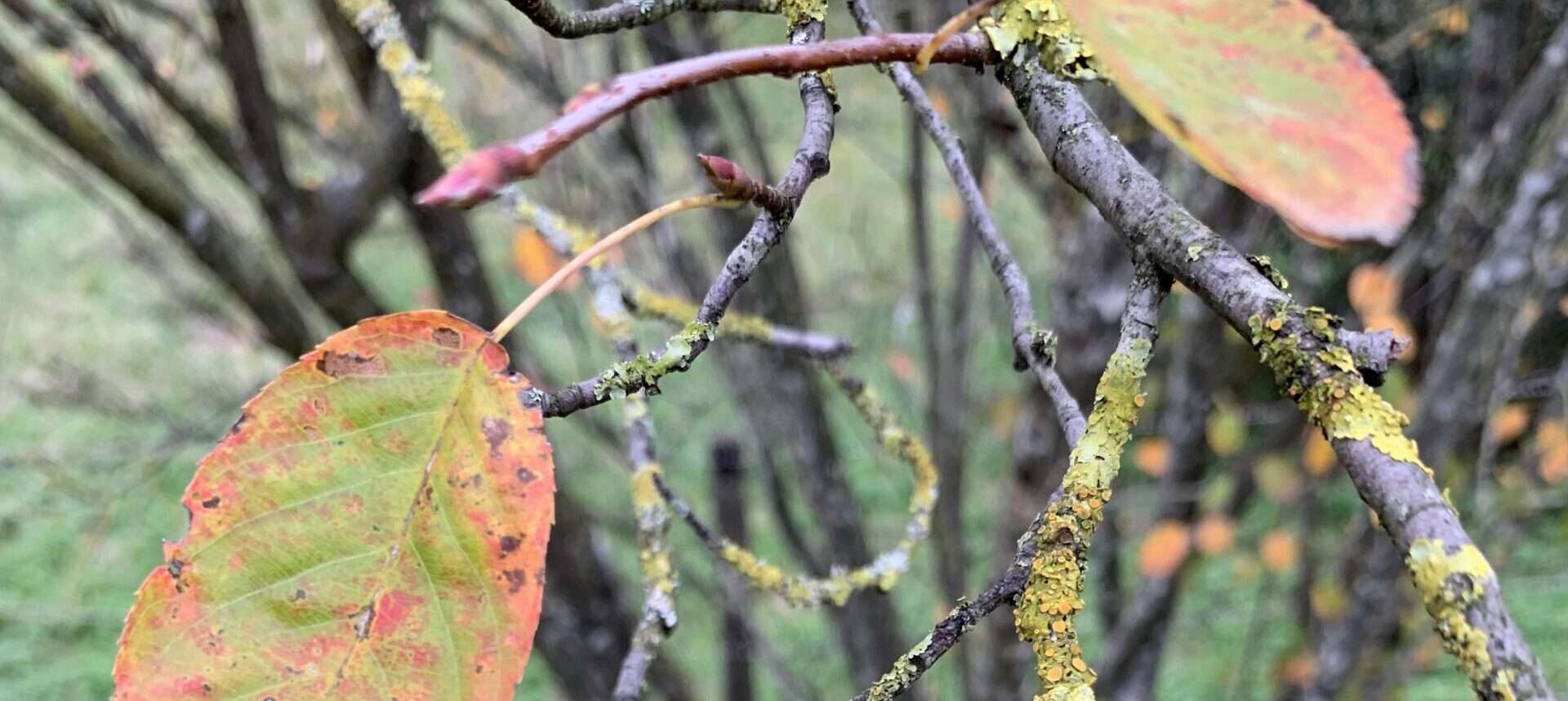Gedicht: Denken wir ungewöhnlich, denken wir, ich könnte in Deine Gedanken schlüpfen. Würdest Du es bemerken; oder nicht?