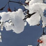 Gedicht: Ach, wie herzlos ist dieses Haiku. Frauen sollen aus Eis sein? Dabei sind sie doch warme, herzliche Wesen durch und durch. Der Dichter übertreibt.