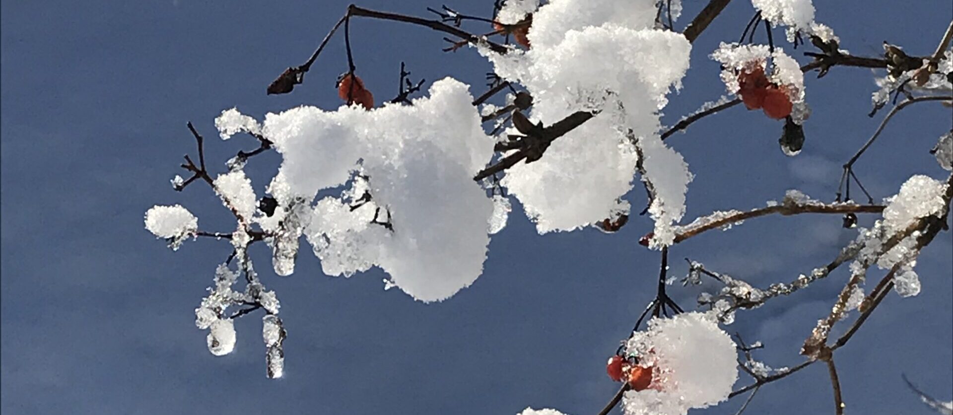 No-Haiku: Frauen aus Eis Gedicht: Ach, wie herzlos ist dieses Haiku. Frauen sollen aus Eis sein? Dabei sind sie doch warme, herzliche Wesen durch und durch. Der Dichter übertreibt.