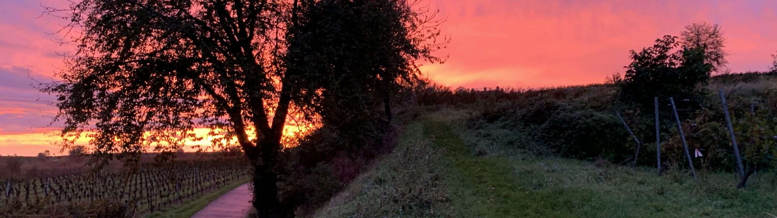 Gedicht: Manchmal ist unsere Lage kaum auszuhalten. Bitterkeit legt sich auf unser kleines Leben, und wir wissen nicht einmal, warum das so ist.