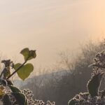 Gedicht: Manchmal scheint das Leben groß, wir fliegen auf den Schwingen der Liebe. Doch der andere zieht sich jäh zurück, lässt uns stürzen. Vorbei.