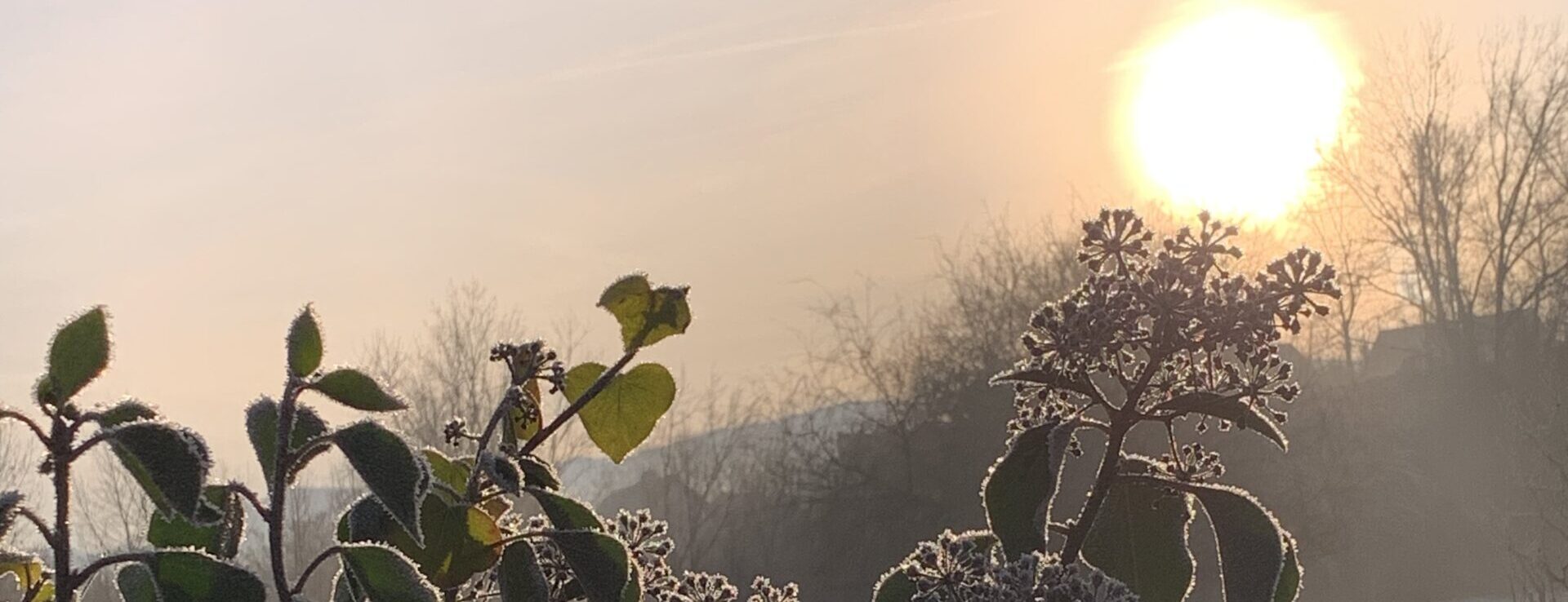 Gedicht: Manchmal scheint das Leben groß, wir fliegen auf den Schwingen der Liebe. Doch der andere zieht sich jäh zurück, lässt uns stürzen. Vorbei.
