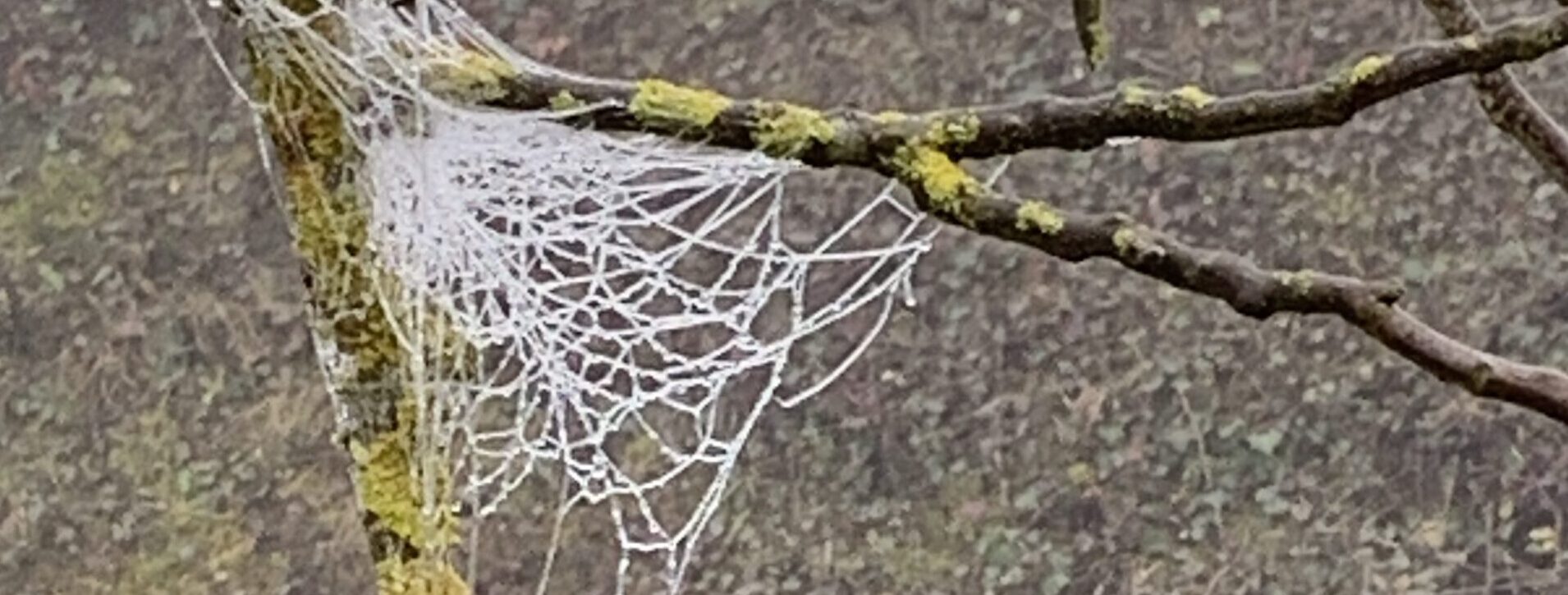 Gedicht: In der Ruhe liegt die Kraft. Bestimmt. Nur manchmal ist es mit der Ruhe vorbei, wenn man auf einen einst geliebten Menschen trifft.