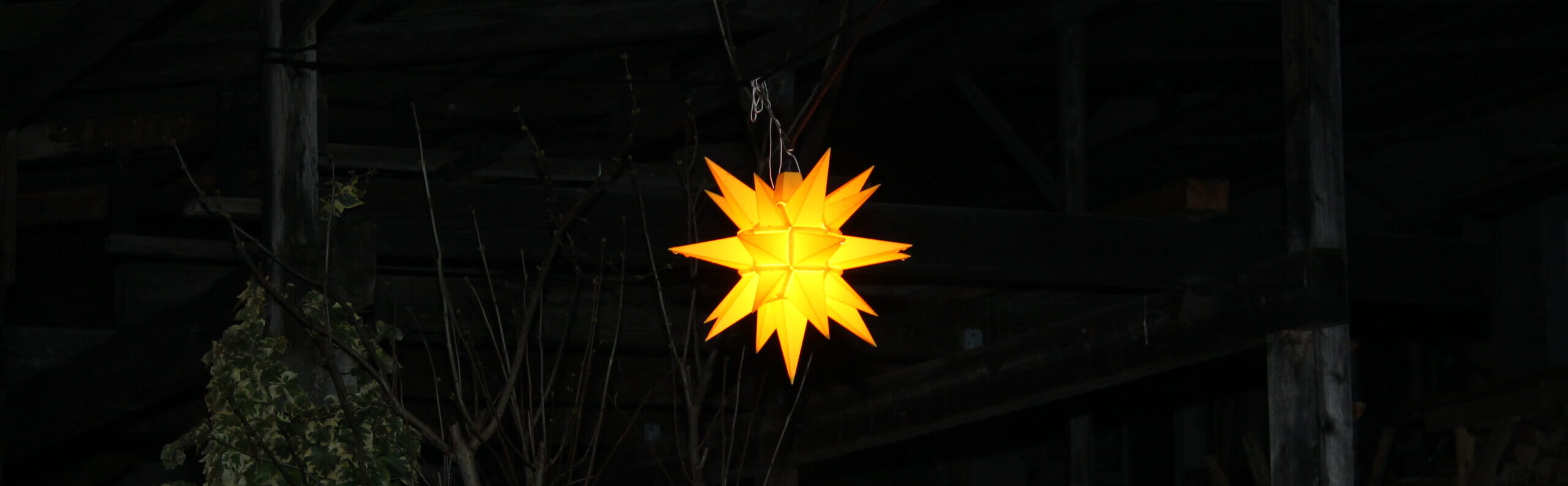 No-Haiku: Stern No-Haiku: Wenn es dunkel wird, die Nacht sich aufs Land senkt, uns mulmig in der Dunkelheit wird, hilft eines am besten: die Liebe.