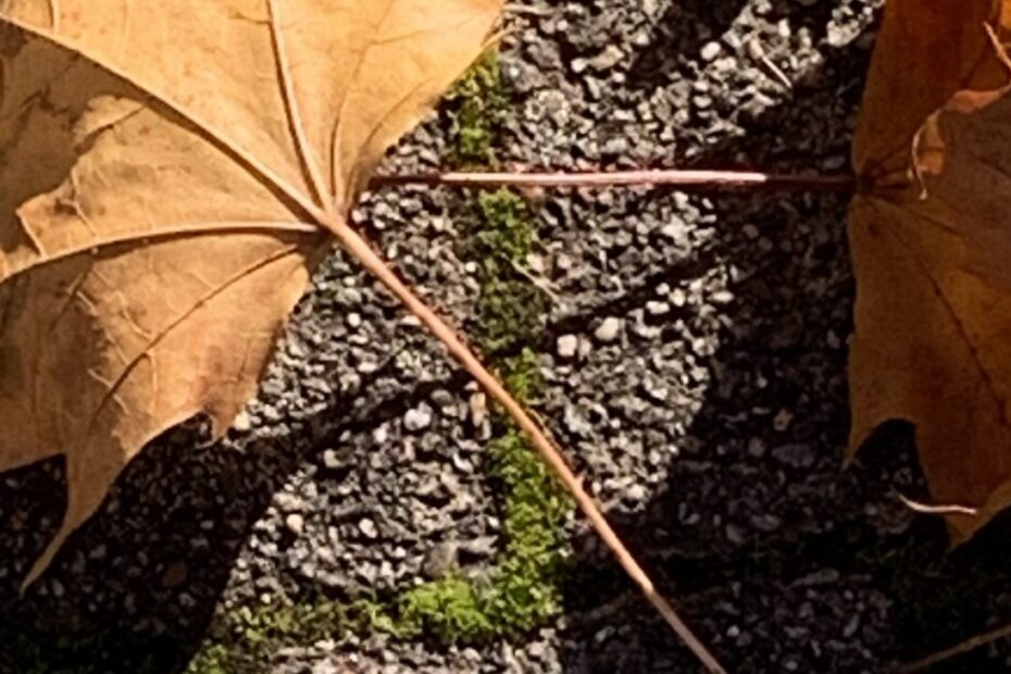 Gedicht: Über den glitzernden Boulevard schlenderst du voller Lust am Leben. Doch was siehst du? Schaust du hinter die glitzernde Fassade?