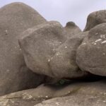 Du ruhst in dir, Stein, liegst scheinbar unbeteiligt auf unserer hektischen Welt. Nichts bringt dich aus der Ruhe. Ich möchte sein wie du, aber ich muss weiter, muss weiter, muss fliegen.